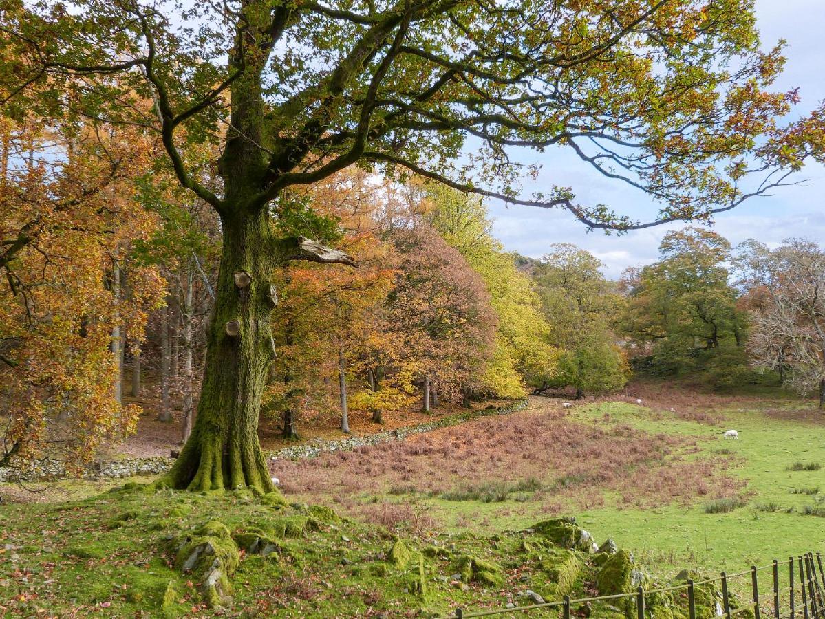 Yew - Woodland Cottages Bowness-on-Windermere Luaran gambar