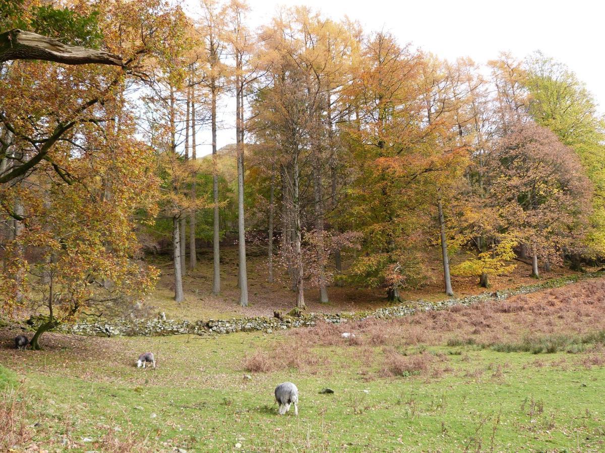 Yew - Woodland Cottages Bowness-on-Windermere Luaran gambar